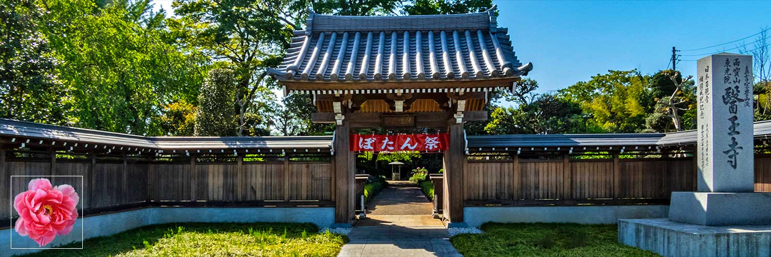 ぼたん寺として知られる医王寺