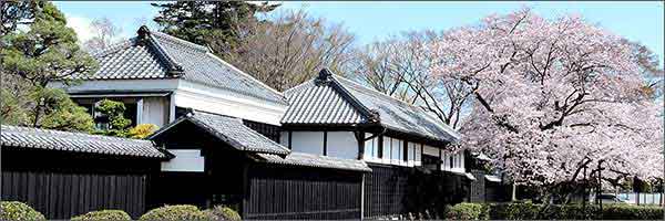桜の名所～旧吉田家住宅歴史公園