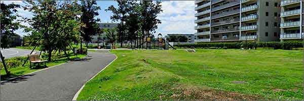 豊四季台公園 豊四季台公園