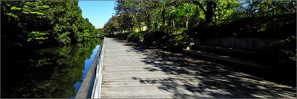 東大柏キャンパス前遊歩道 東大柏キャンパス前遊歩道