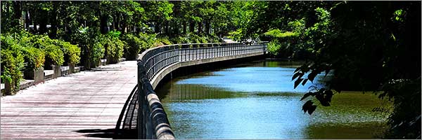 東大柏キャンパス前遊歩道 東大柏キャンパス前遊歩道