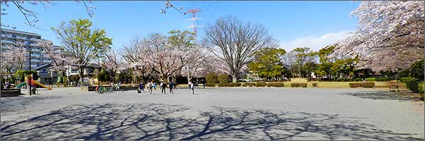 松葉第一公園 松葉第一公園