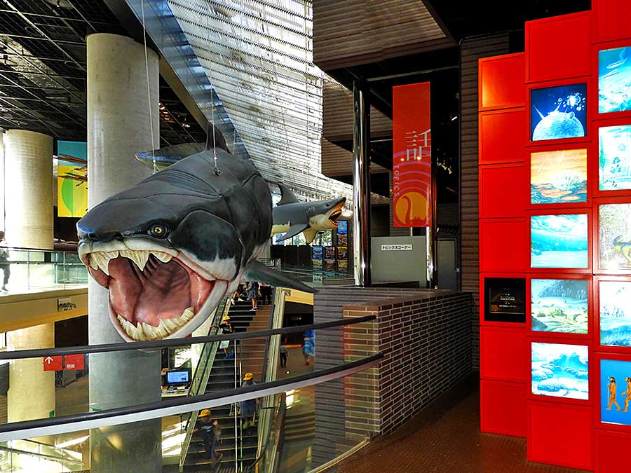 最強の古代魚「ダンクルオステウス」 最強の古代魚「ダンクルオステウス」